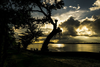 Silhouette tree by sea against sky during sunset