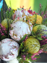 Close-up of torch protea flowers bouquet