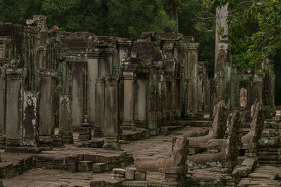 Ruined columns of bayon temple in forest