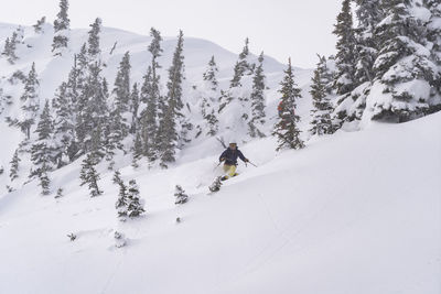 Person skiing on snowcapped mountain