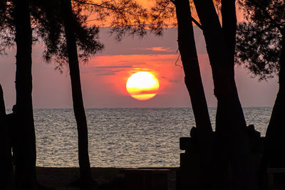 Silhouette trees by sea against orange sky