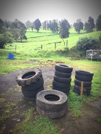 Hay bales on field