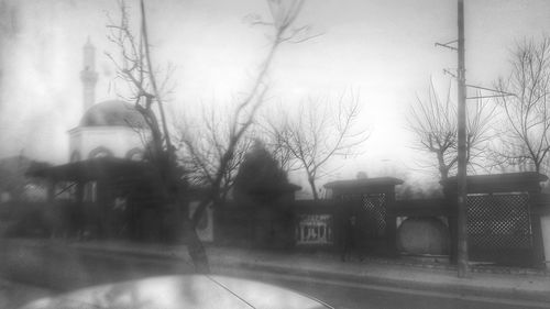 Bare trees against sky