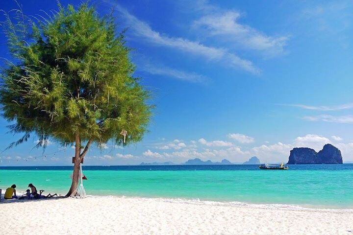 beach, sea, water, palm tree, blue, tranquil scene, tree, tranquility, sky, sand, beauty in nature, nature, scenics, outdoors, travel destinations, vacations, day, horizon over water, no people