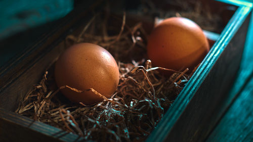 Close-up of eggs in nest