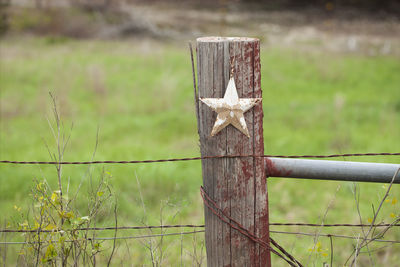 Close-up of wooden post