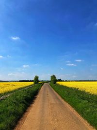 Road passing through agricultural field against sky