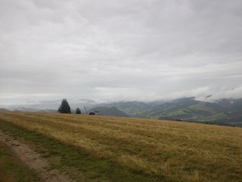 Scenic view of field against sky
