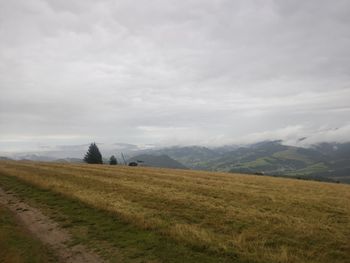 Scenic view of field against sky