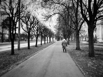 Rear view of man walking on footpath in park