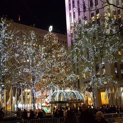 Illuminated christmas tree at night