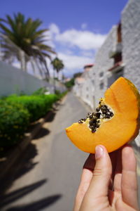 Close-up of hand holding orange