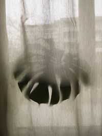 Shadow of person hand on window