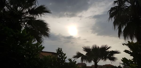 Low angle view of silhouette palm trees against sky