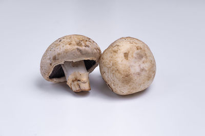 Close-up of bread against white background