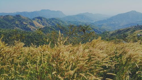 Scenic view of mountains against clear sky