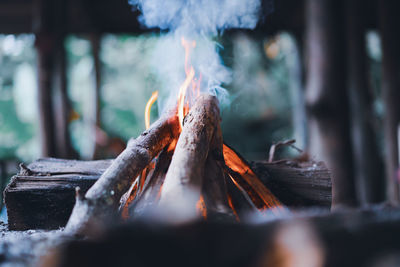 Close-up of bonfire on log