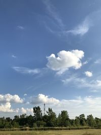Trees on field against sky