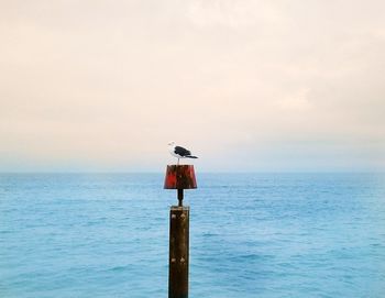 Bird perching on wooden post by sea against sky