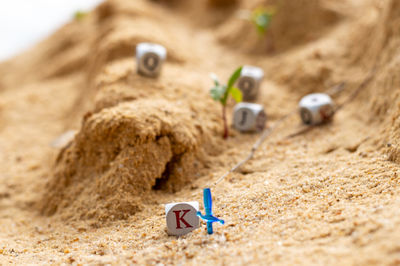 Close-up of toy playing on sand
