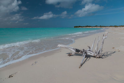 Scenic view of beach against sky