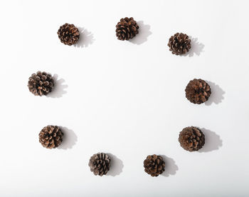 High angle view of food against white background