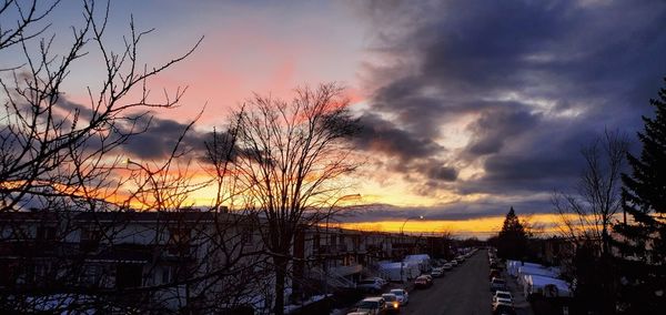 Bare trees by road against sky during sunset