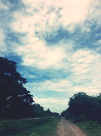 Trees on landscape against sky