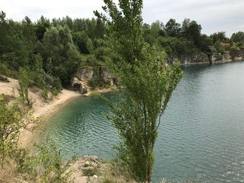 Scenic view of river in forest against sky