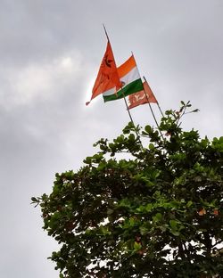 Low angle view of flag against sky