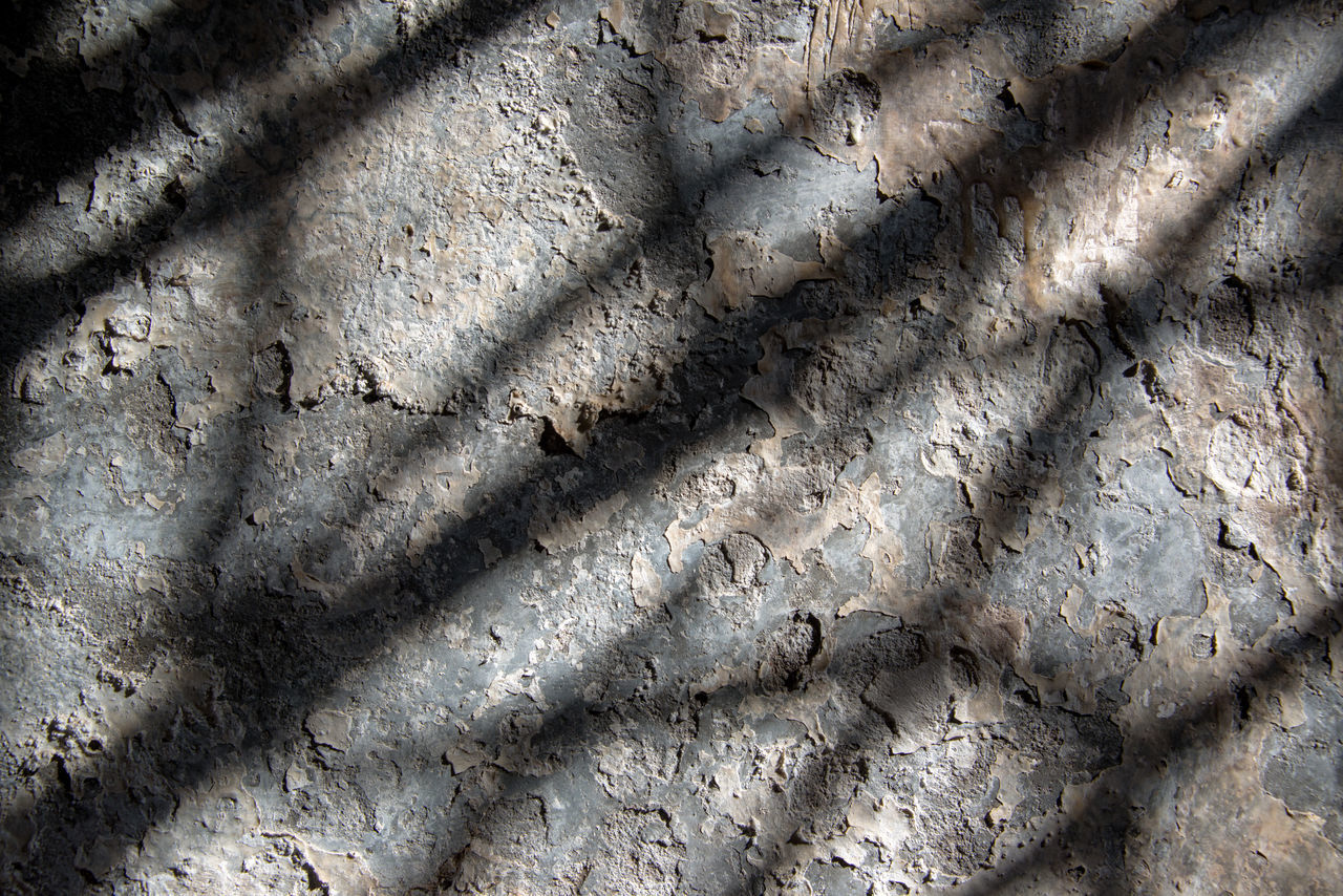 CLOSE-UP OF SHADOW ON GROUND