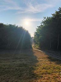 Scenic view of field against bright sun