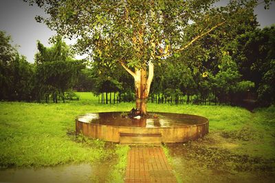 Fountain on grass against trees