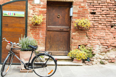 Potted plants against brick wall and building