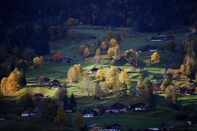 High angle view of trees on landscape against sky