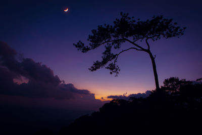 Silhouette tree against sky at sunset