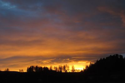 Silhouette trees against dramatic sky during sunset