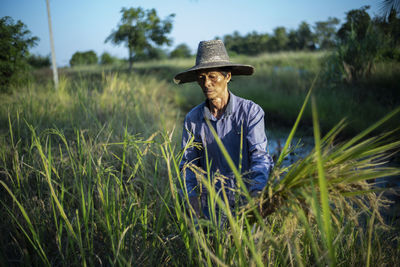 Man working on rice paddy