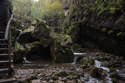 Stream flowing through rocks in forest