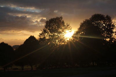 Silhouette trees against sky during sunset