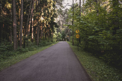 Road amidst trees in forest