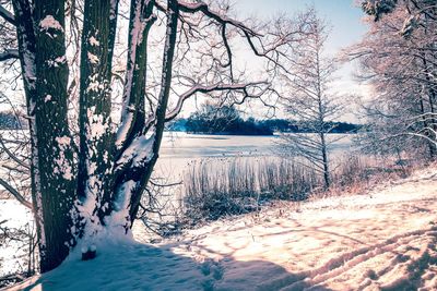 Scenic view of frozen lake against sky during winter