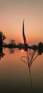 Scenic view of lake against orange sky