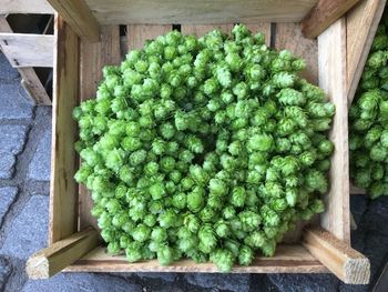 High angle view of fruits on table