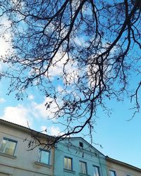 Low angle view of tree and building against sky