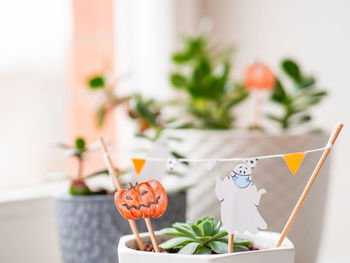 Hand drawn halloween 2020 decorations in succulent plants. ghost in medical protective mask.