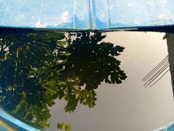Close-up of plant by window against sky