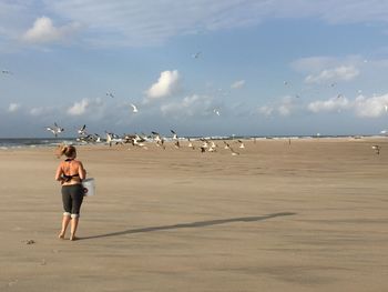 Rear view of seagulls on beach