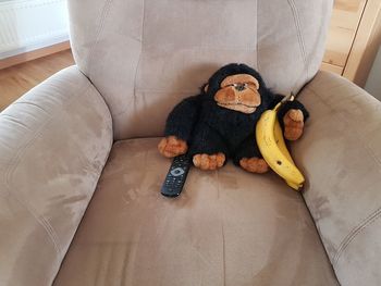 Stuffed toy and bananas on couch