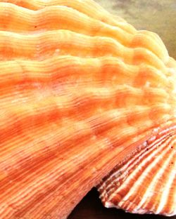 Full frame shot of white background